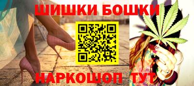 крисы Лесосибирск