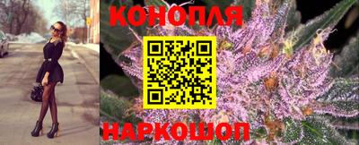 крисы Лесосибирск